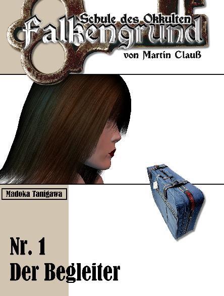 Falkengrund Nr. 1: Der Begleiter