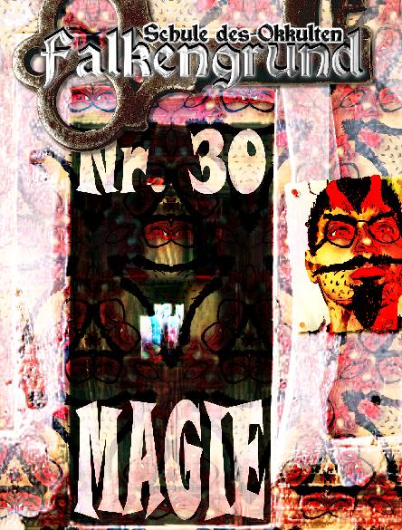 Falkengrund Nr. 30: Magie