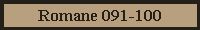 Die Romane 91-100