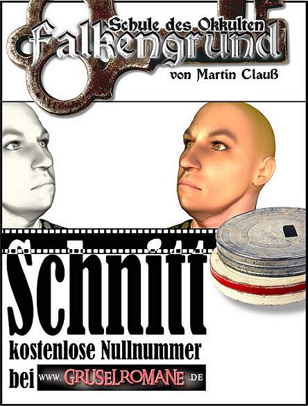 Falkengrund Nr. 0: Schnitt